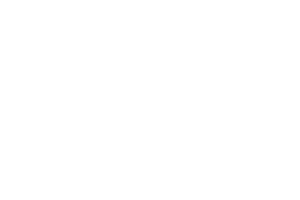 HanseBelt e. V.